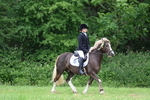 WJ7_4324