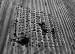 Corrugated Matrix