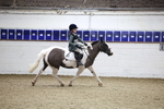 AJG_1263_1