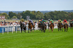 300826-Race 5-Harb-1077