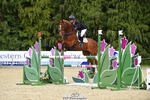 112-BILLY_MAPLE-Kitty_King-SUNTrotUp+SJ portfolio