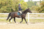 SBM_007404