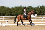 SBM_003748