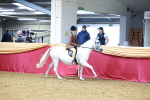 SBM_00337