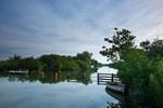 <center>Early Morning on Ranworth Broad</center>
