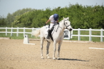 SBM_009591