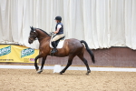 SBM_001081