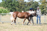 WJ6_4466