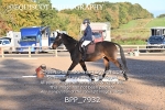 BPP_7932