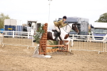 SBM_03643