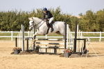 SBM_03877