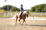 SBM_007739