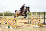 SBM_001351