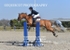 BPP_7432