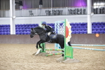 SBM_003391