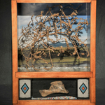 On Location: Tumbleweed Spirit portfolio