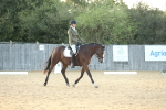 SBM_31145
