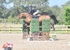 BPP_4119