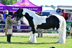 SBM_12186