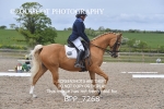 BPP_7268