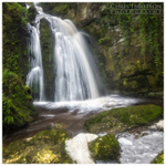 Linn Falls, Larne (IMG0633)