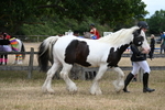 WJ6_8348