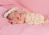 Willow 8