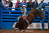 3HRodeo7-11-24_LJD_3HR2520_LJD