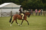 SBM_10704