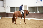 SBM_000019