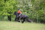 WJ6_1648