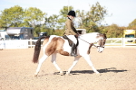 SBM_12519