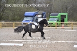 BPP_8823