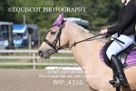 BPP_4316