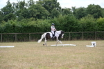 WJ6_5337