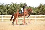 SBM_000590