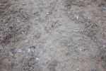 SBM_006102