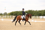 SBM_001784