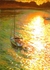 bay of gold