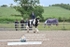 BPP_9567