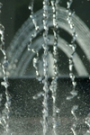 Xmas Water