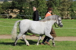 SIAL5944