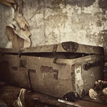 'Well Travelled Trunk'