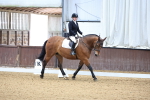 SBM_000484