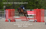 BPP_3351