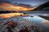 z1950 Low Tide Reflections, Ventnor Bay