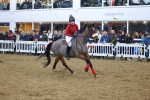 SBM_004854