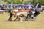 SBM_15162