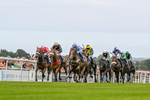 140824-Race 1-Lord Roxby-3402