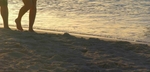 Aruba